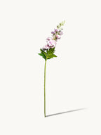 Amaranton 28" Real touch Silk Double Petal Delphinium - Light Purple