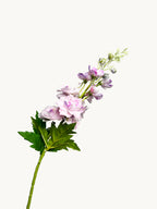 Amaranton 28" Real touch Silk Double Petal Delphinium - Light Purple