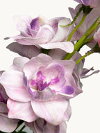 Amaranton 28" Real touch Silk Double Petal Delphinium - Light Purple