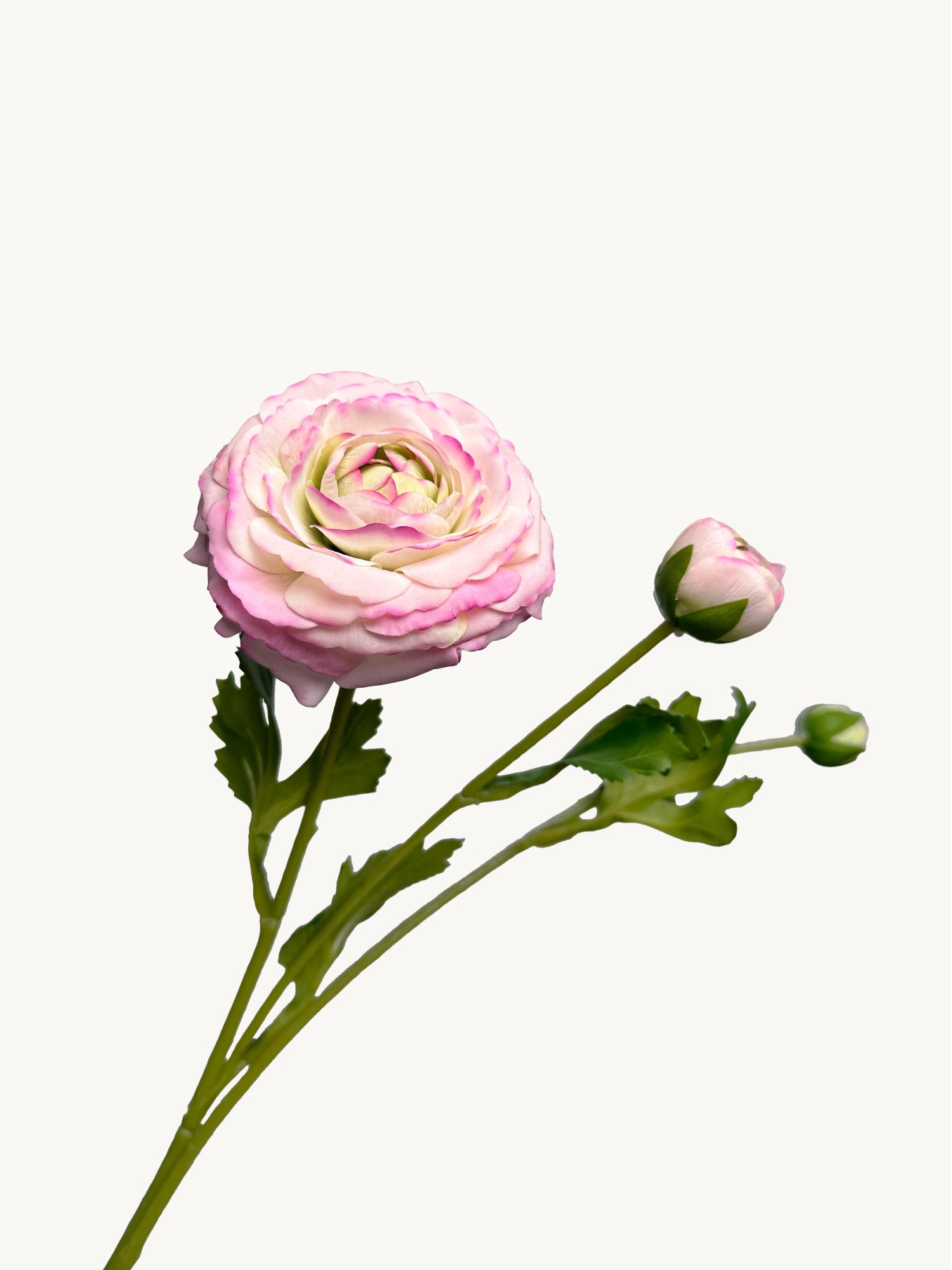 Amaranton™ 19" RealTouch™ Ranunculus Spray with 1 Bloom and 2 Buds - Pink