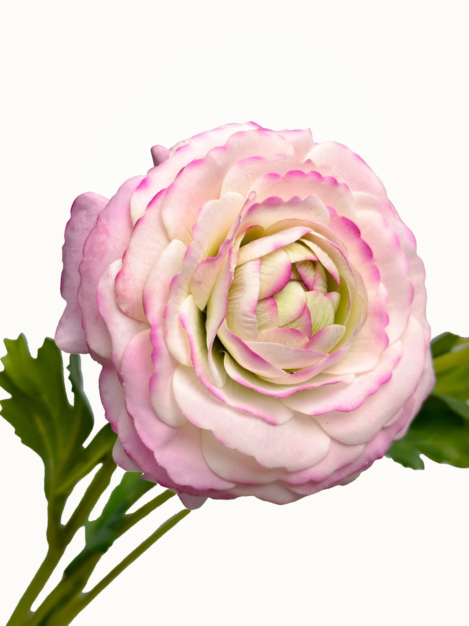 Amaranton™ 19" RealTouch™ Ranunculus Spray with 1 Bloom and 2 Buds - Pink