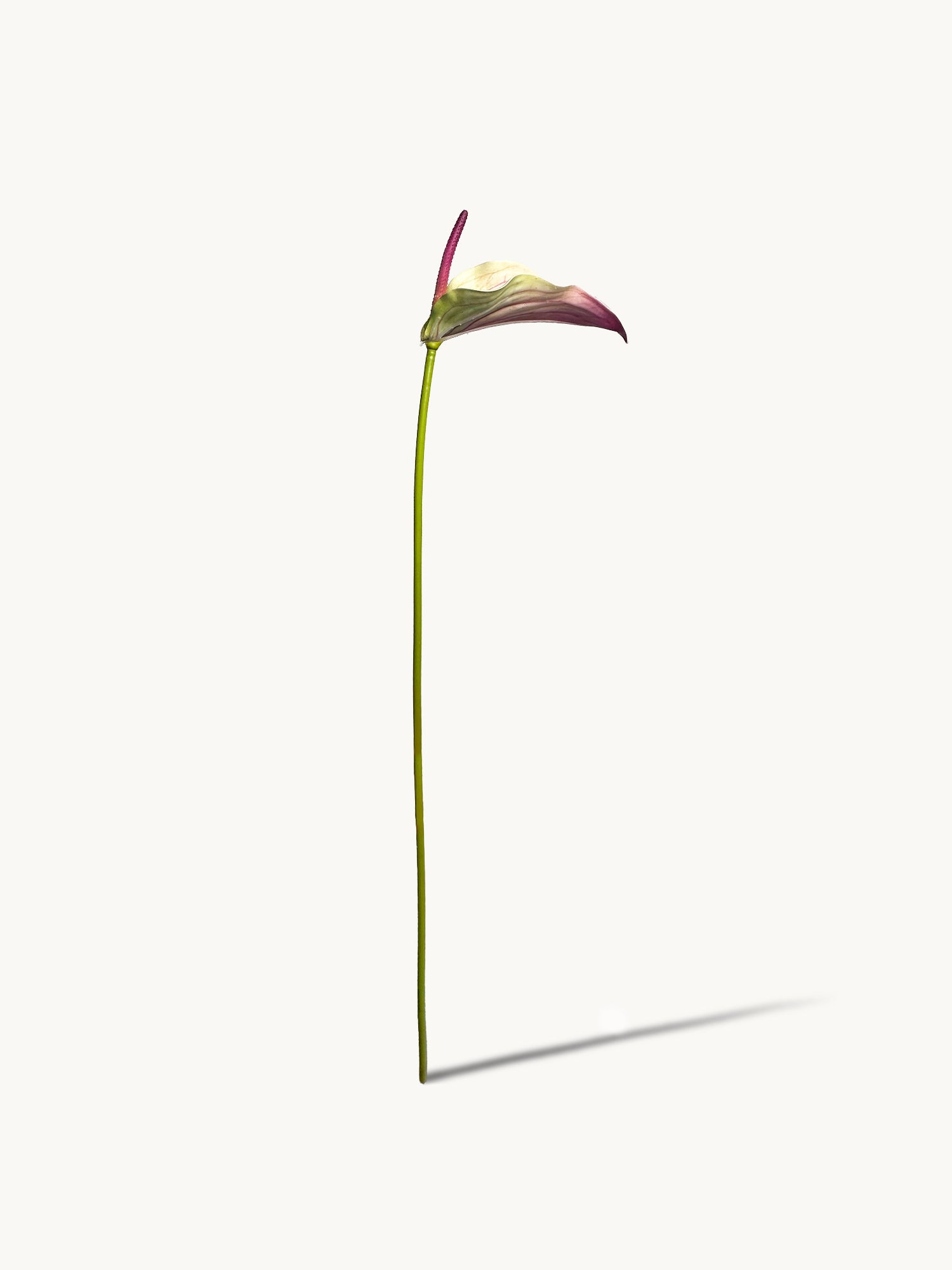 Amaranton™ 28" Realistica™ Anthurium with Spadix - Purple