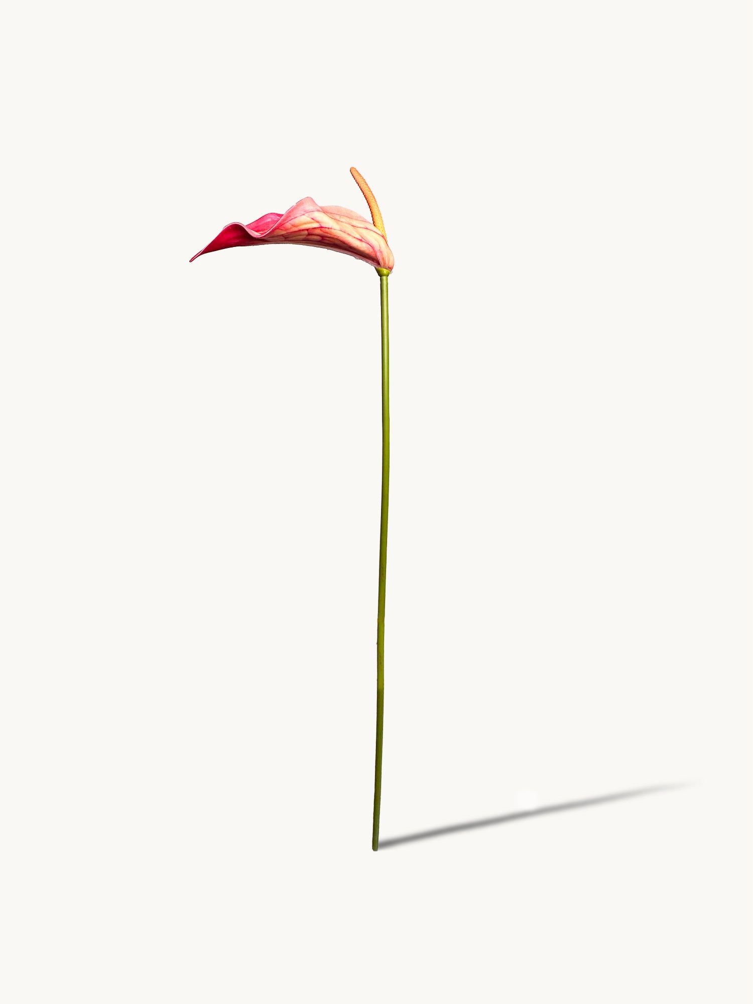 Amaranton™ 28" Realistica™ Anthurium with Spadix - Orange