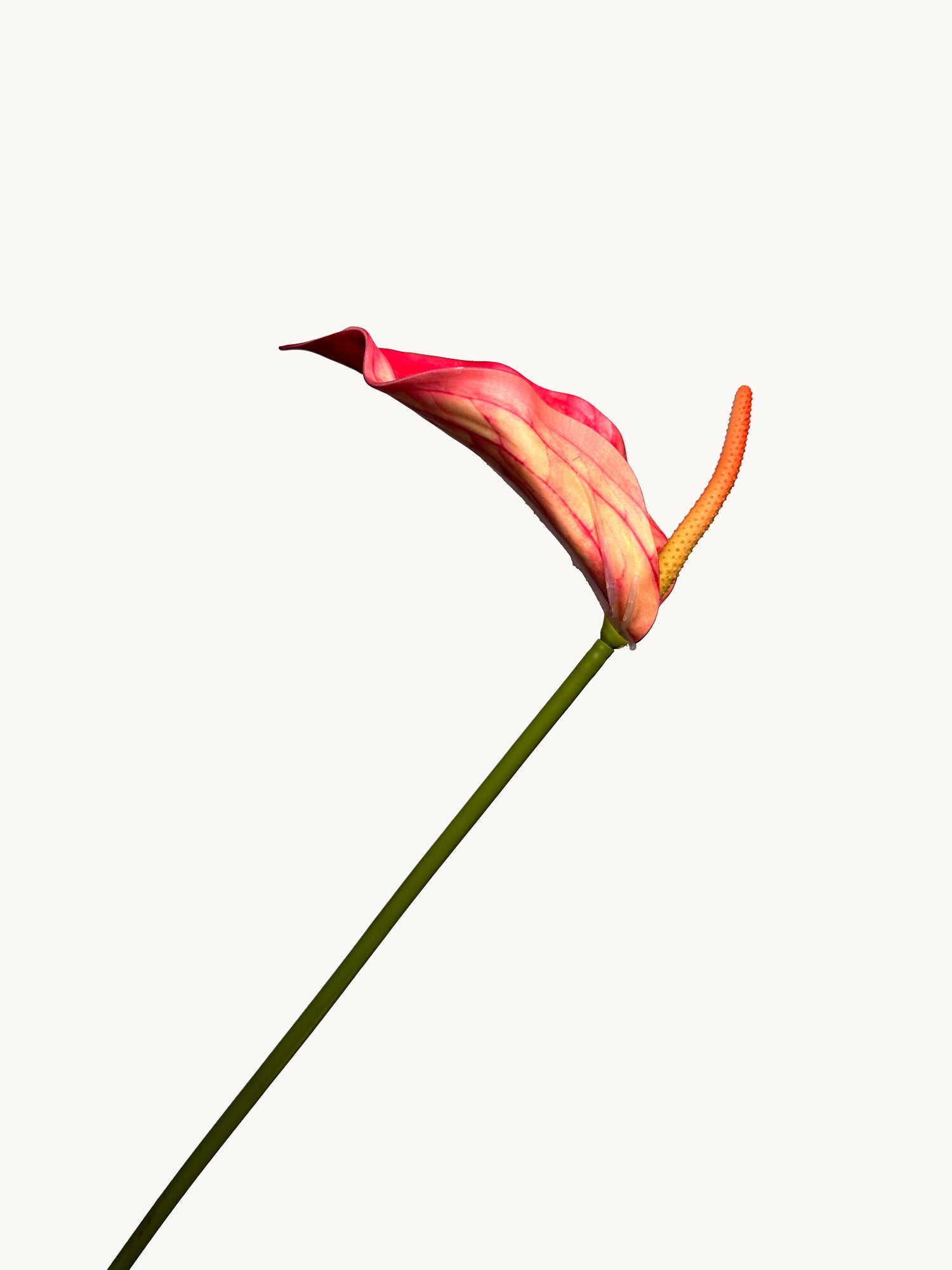 Anturio realista Amaranton de 71 cm con espádice - Naranja