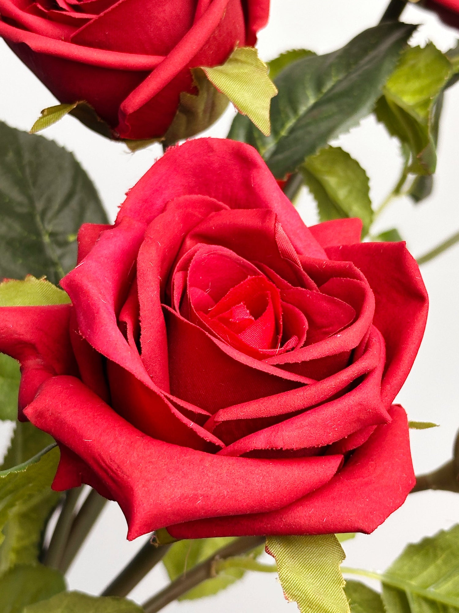 Amaranton™ 35" Real Touch 5-Bloom Racer Rose - Burgundy