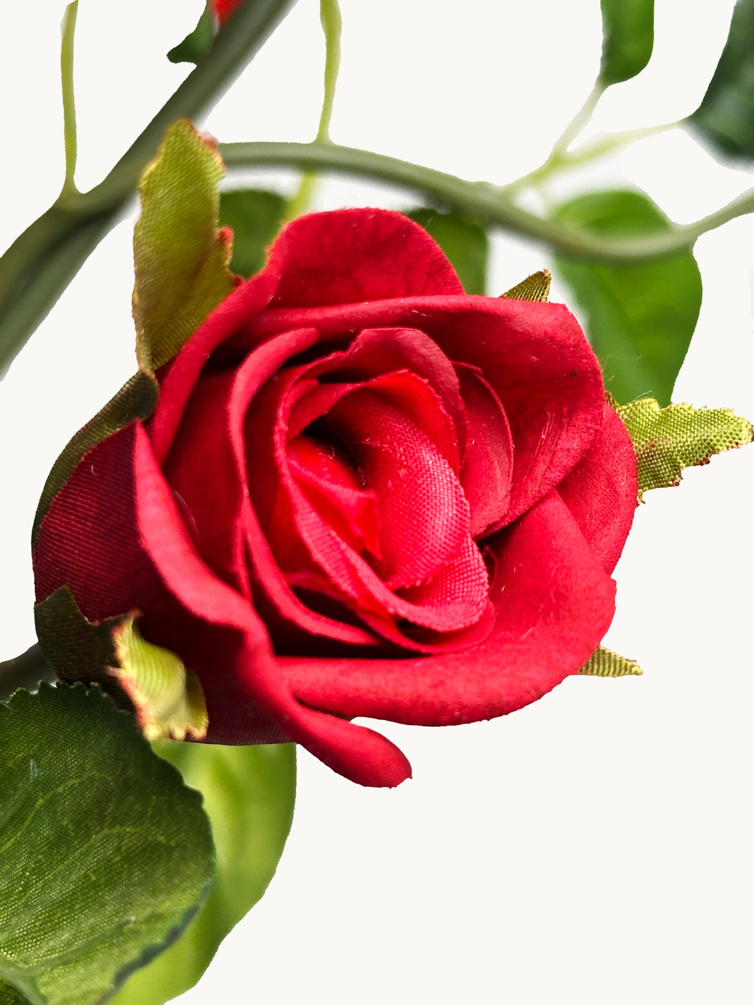 Amaranton™ 35" Real Touch 5-Bloom Racer Rose - Burgundy