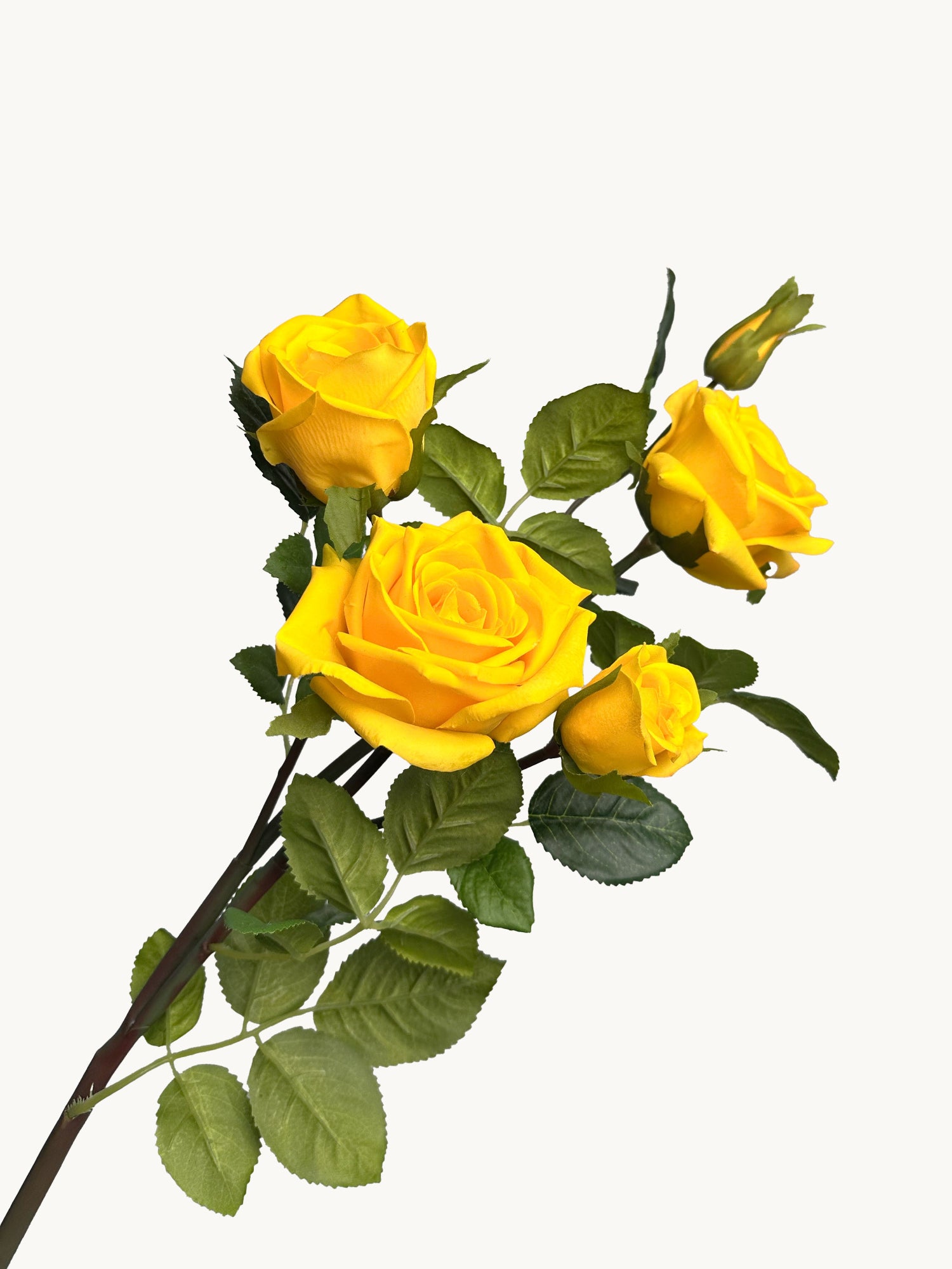 Amaranton™ 35" RealTouch™ 5 - Bloom Racer Rose - Bright Yellow