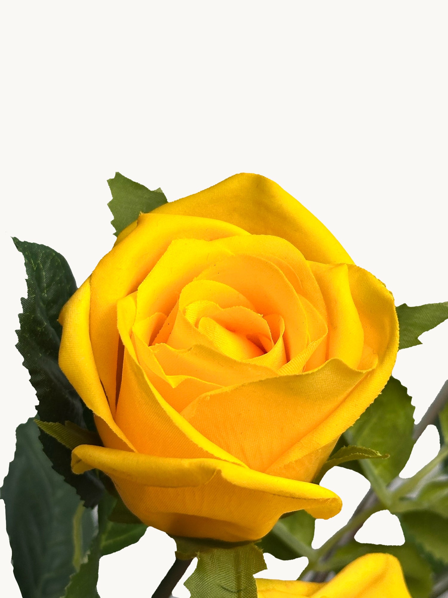 Amaranton™ 35" RealTouch™ 5 - Bloom Racer Rose - Bright Yellow