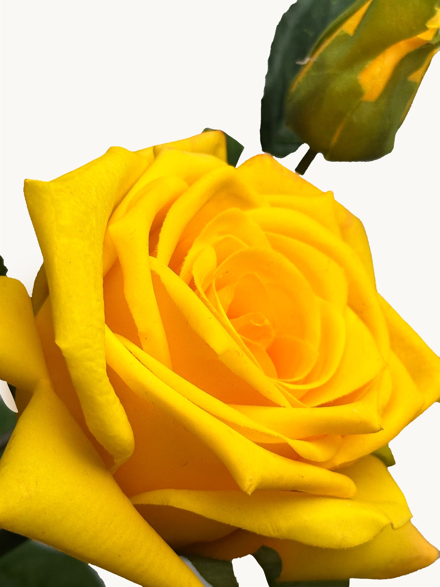 Amaranton™ 35" RealTouch™ 5 - Bloom Racer Rose - Bright Yellow