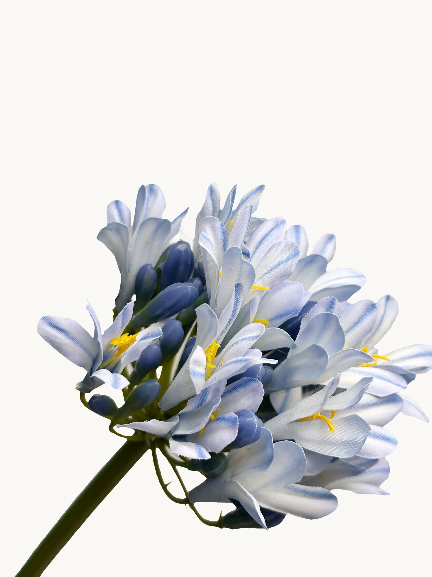 Amaranton™ 28" Realistica™ Lily of the Nile - Blue