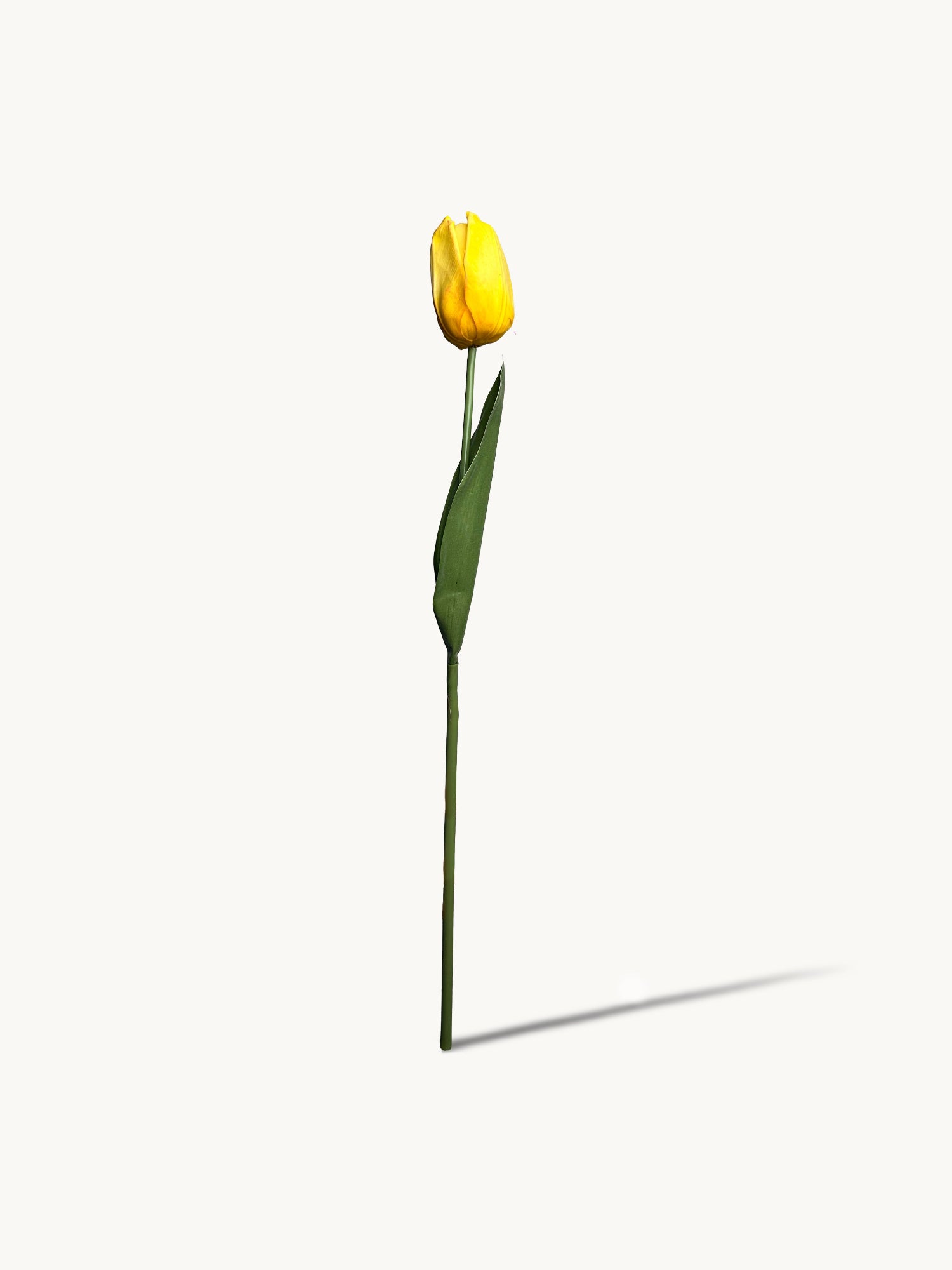 Amaranton™ 21" RealTouch™ Large Head Tulip - Yellow