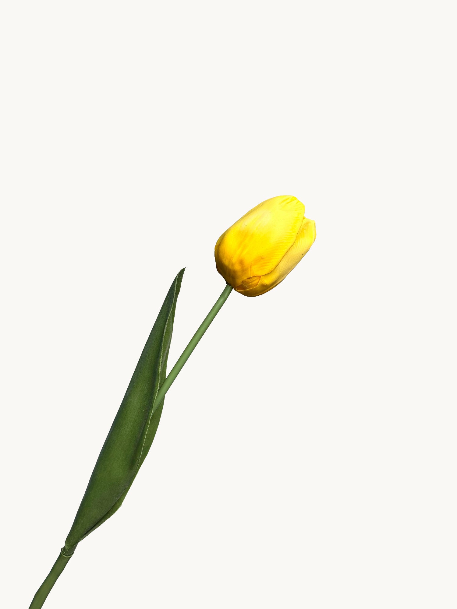 Amaranton™ 21" RealTouch™ Large Head Tulip - Yellow