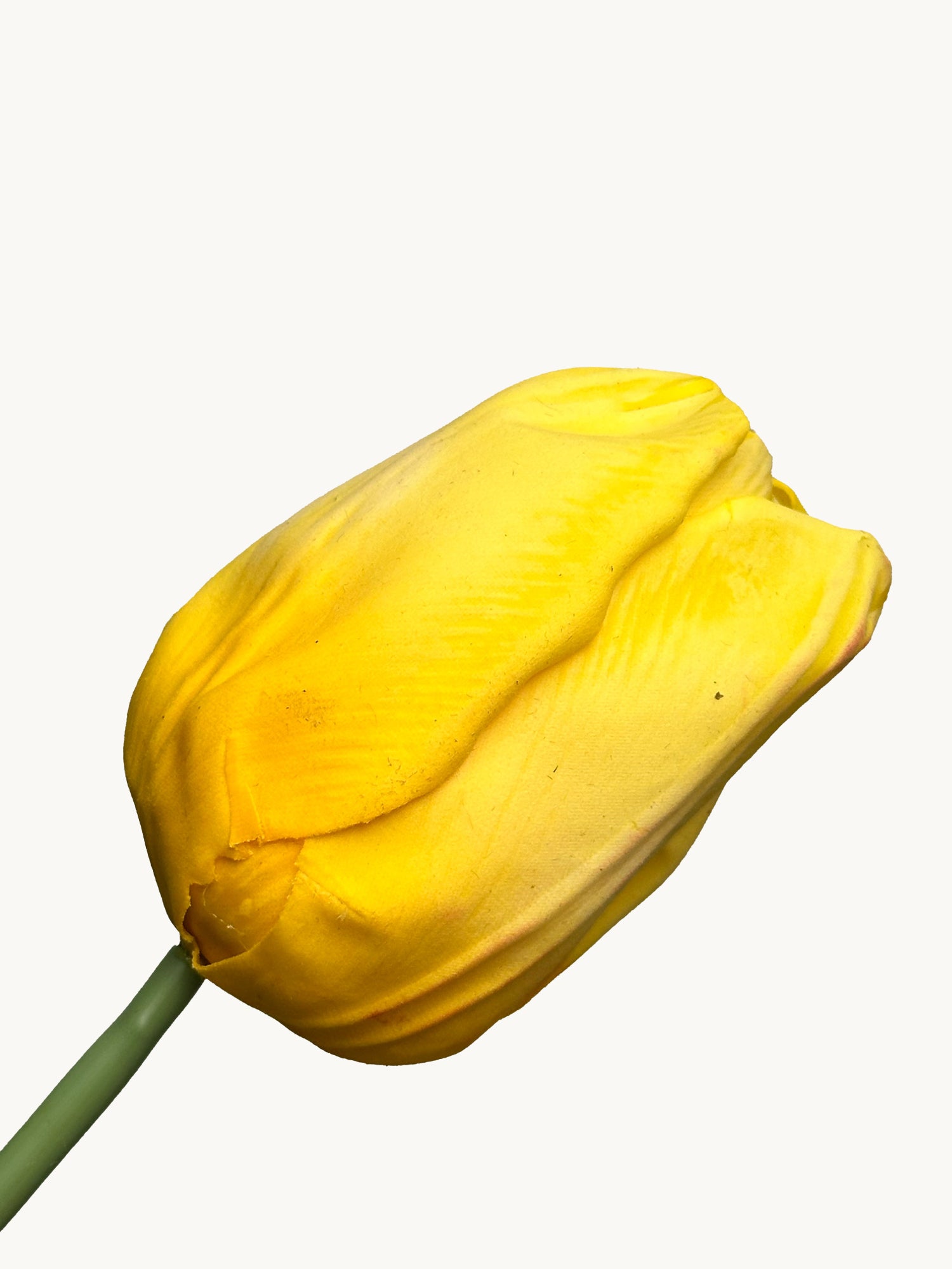 Amaranton™ 21" RealTouch™ Large Head Tulip - Yellow