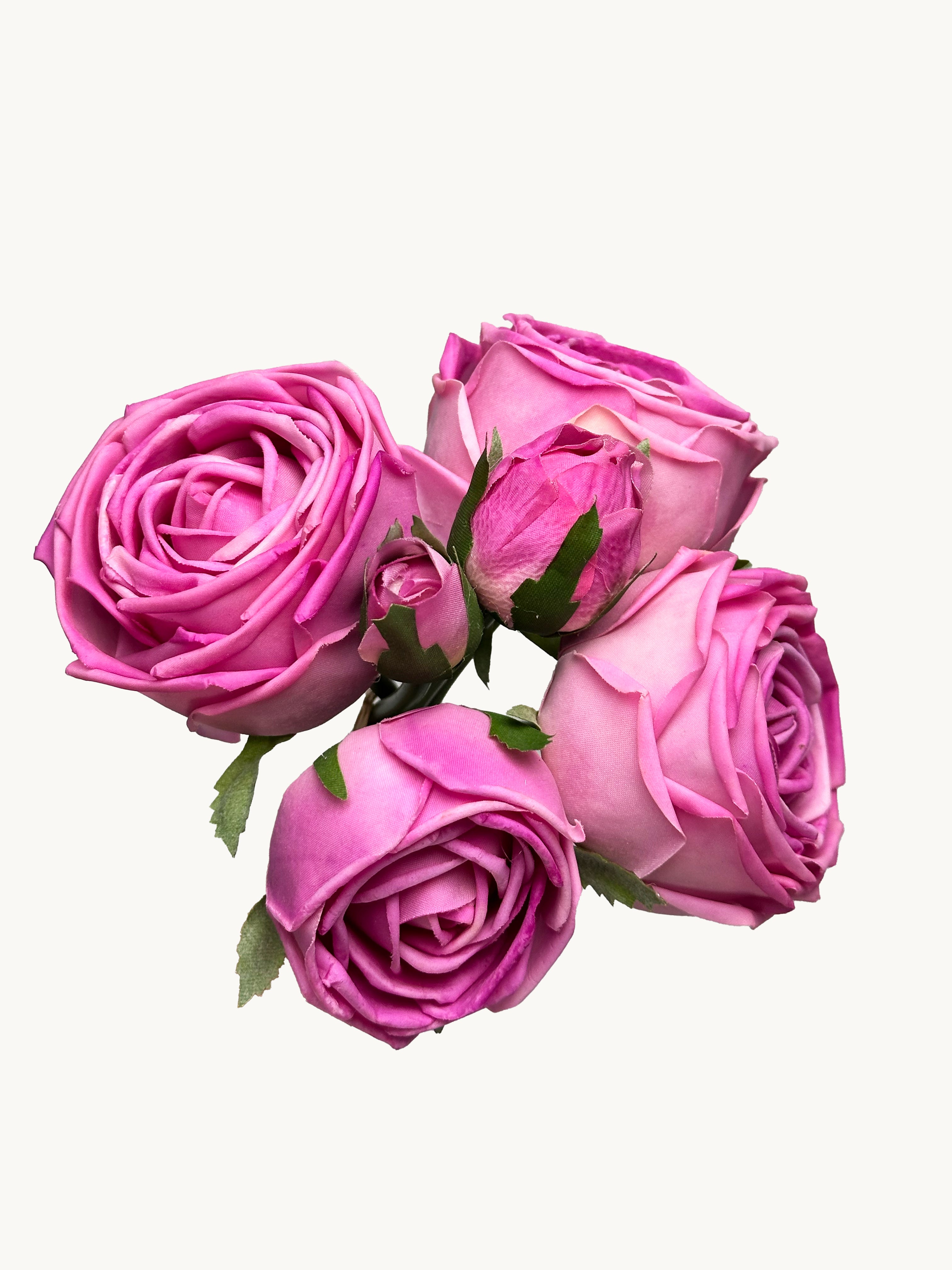 Amaranton 8" Real touch Bundle of 6 Cabbage Rose Stems - Fuchsia