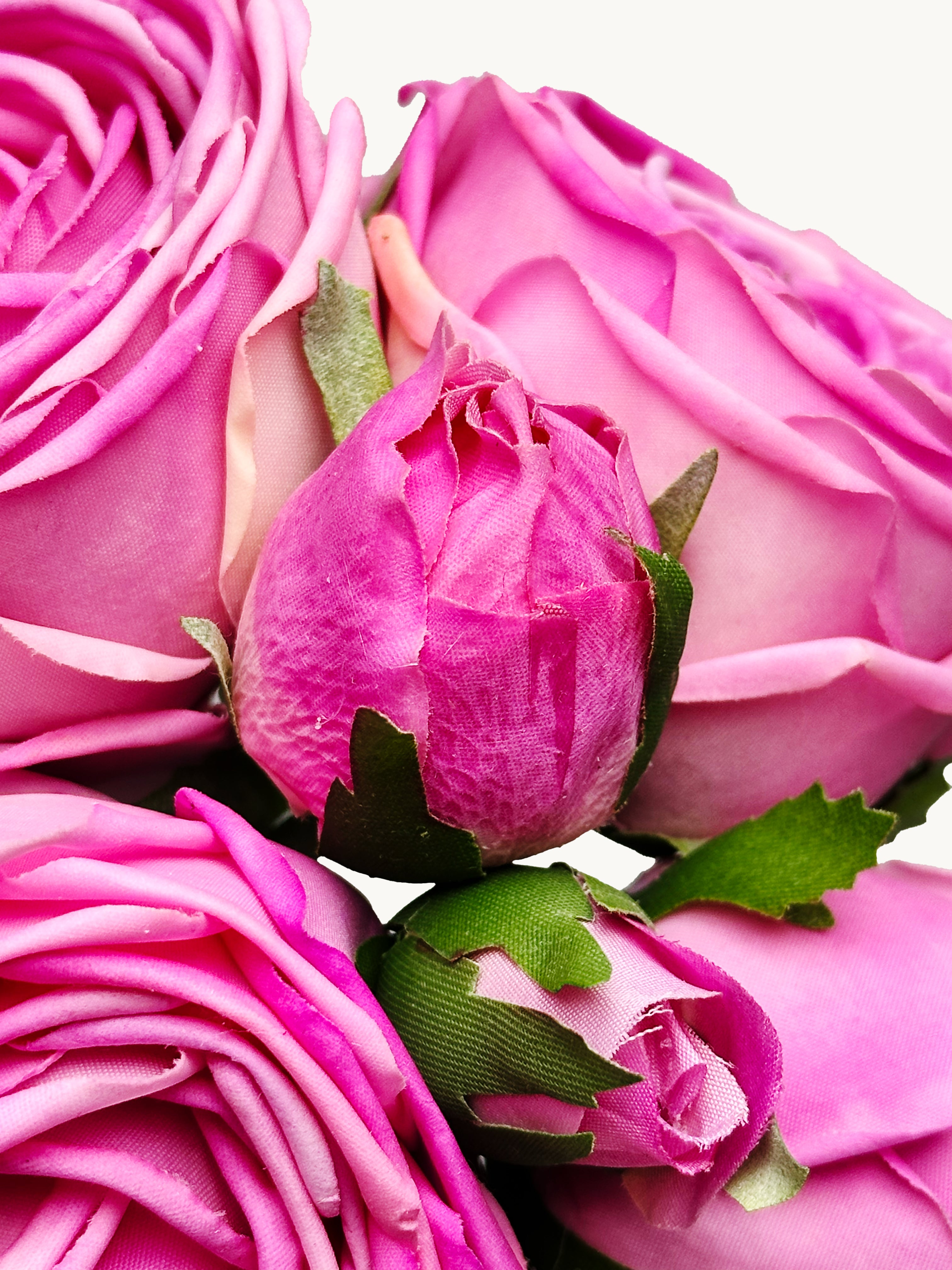 Amaranton 8" Real touch Bundle of 6 Cabbage Rose Stems - Fuchsia