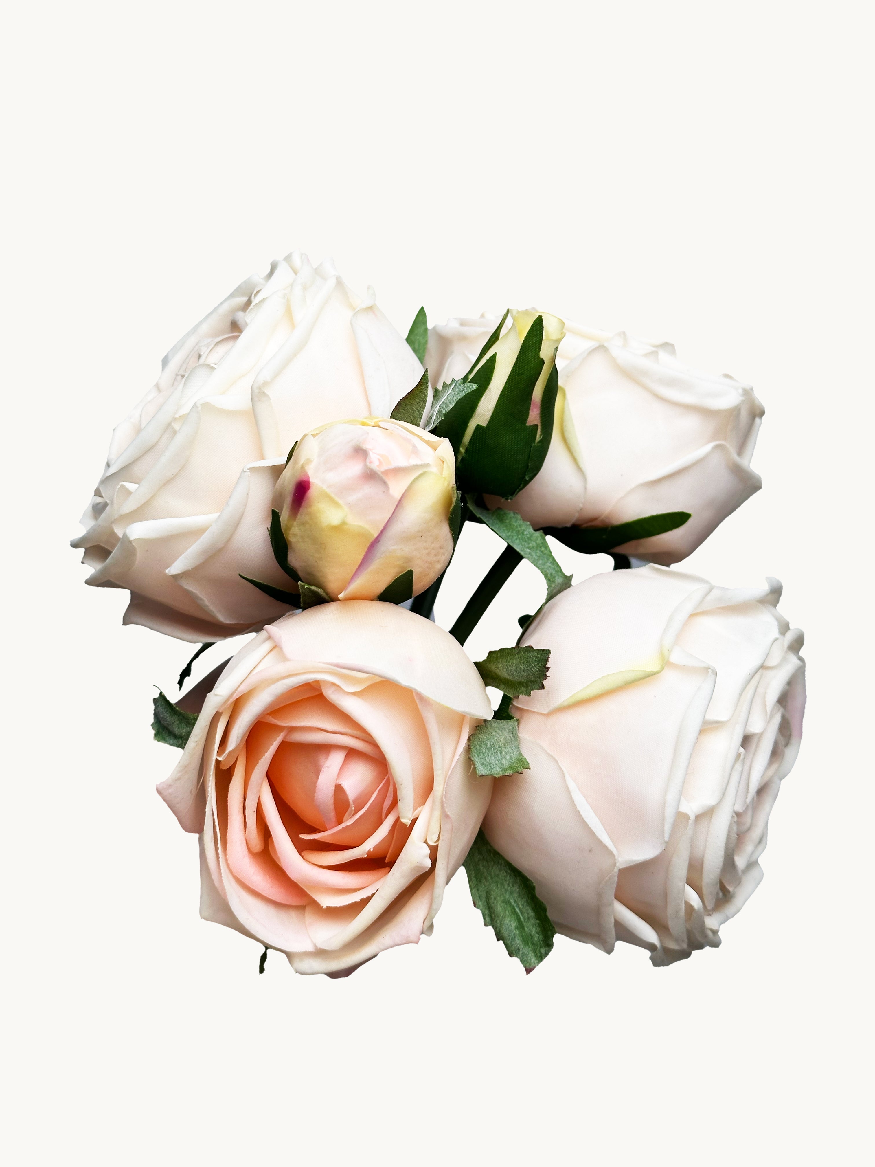 Amaranton 8" Real touch Bundle of 6 Cabbage Rose Stems - Champagne