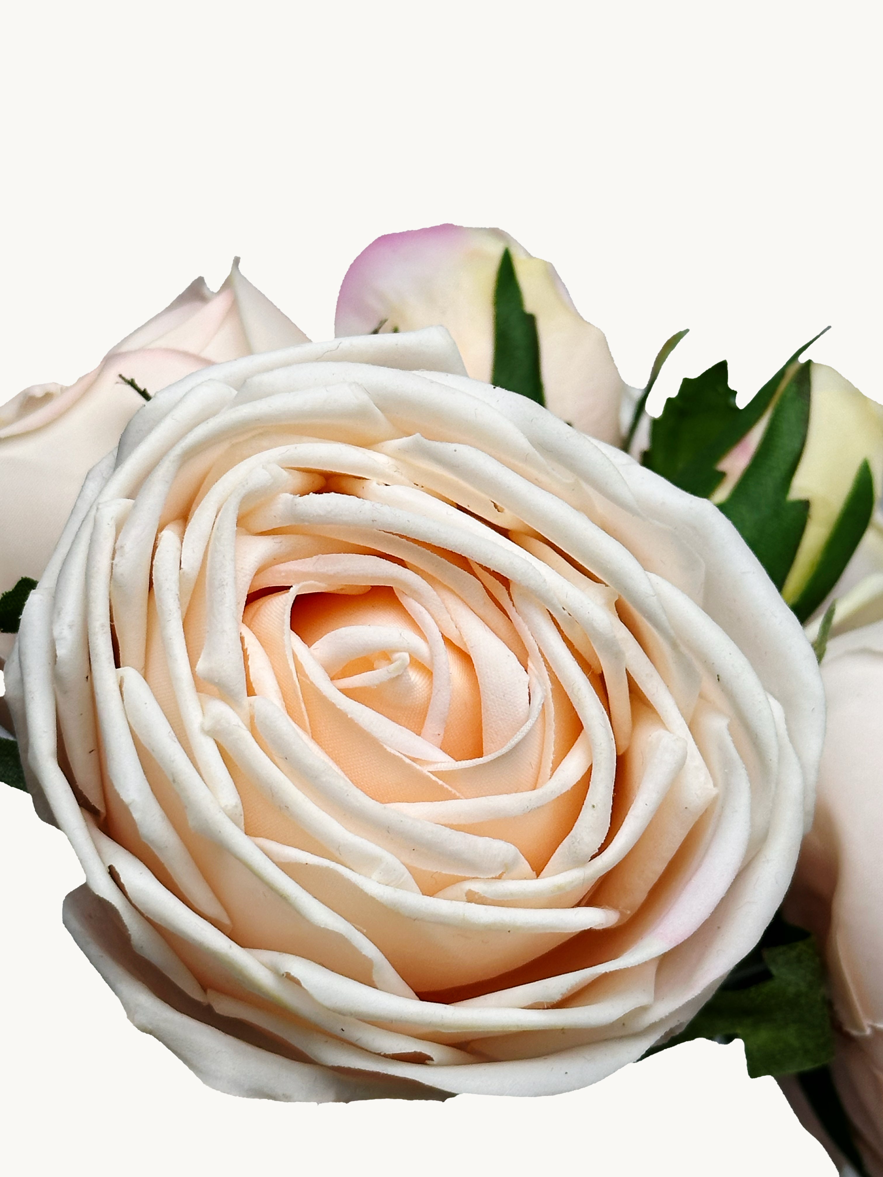 Amaranton 8" Real touch Bundle of 6 Cabbage Rose Stems - Champagne