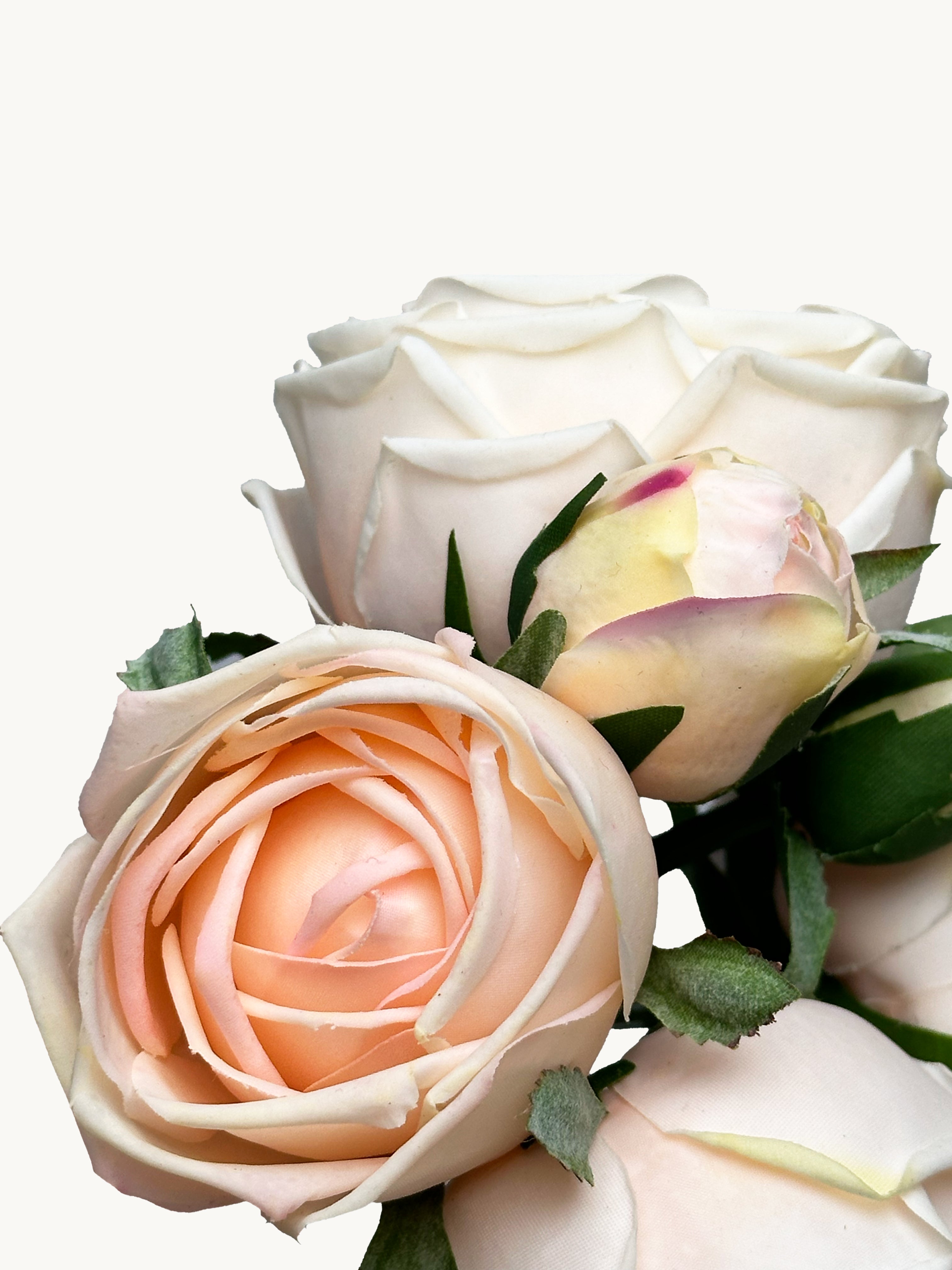 Amaranton 8" Real touch Bundle of 6 Cabbage Rose Stems - Champagne