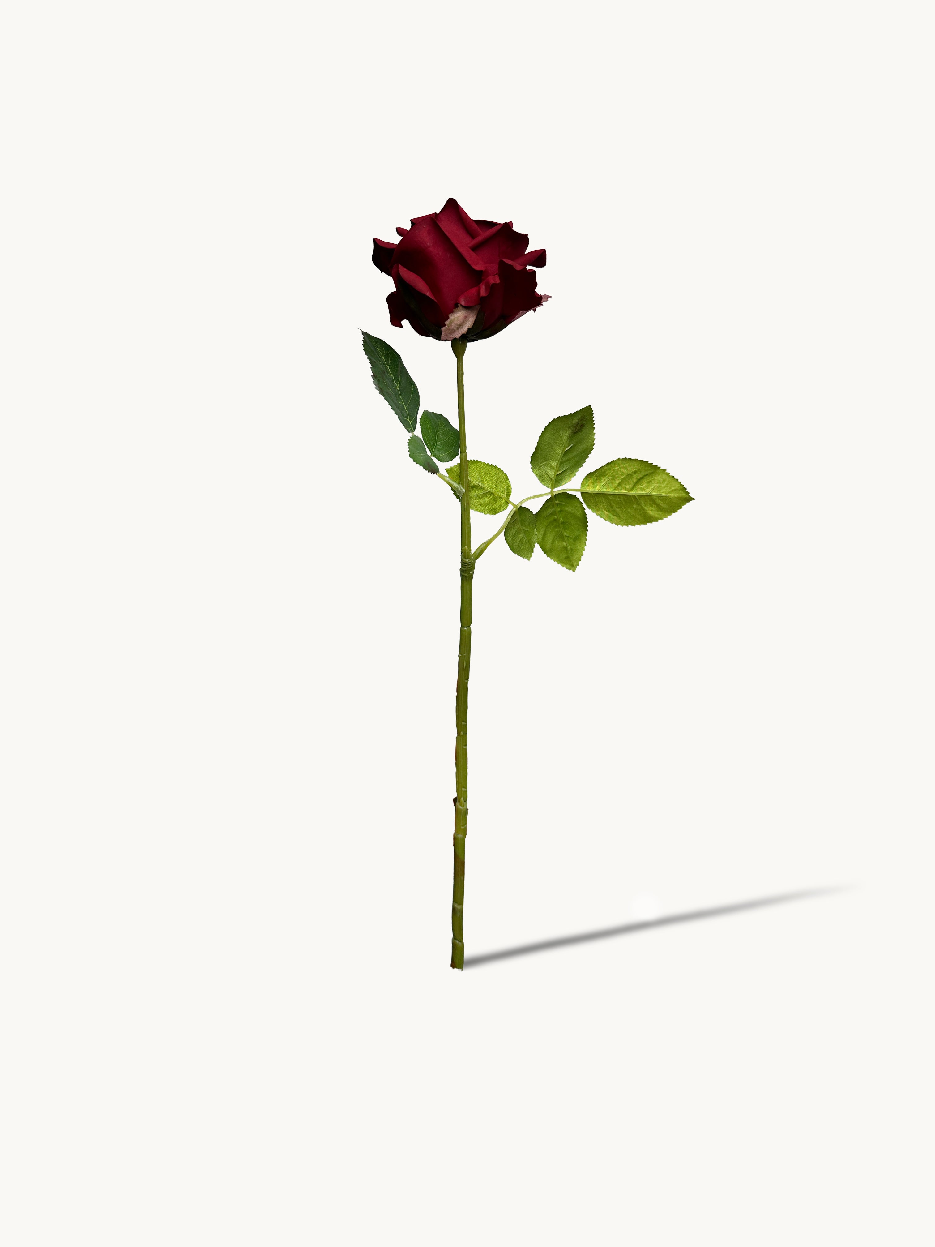 Amaranton 17" Real touch English Rose - Burgundy