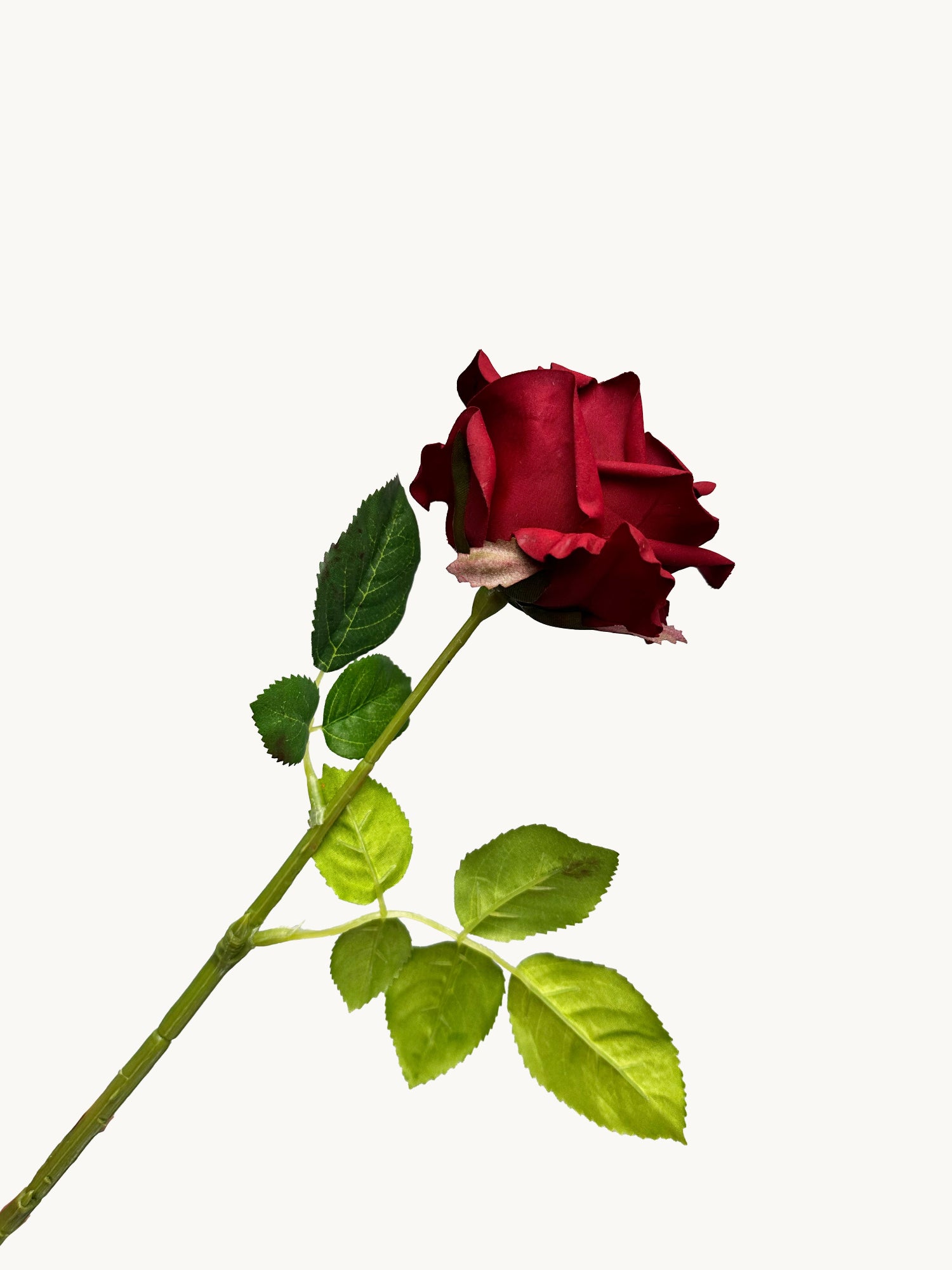 Amaranton 17" Rosa inglesa de tacto real - Borgoña