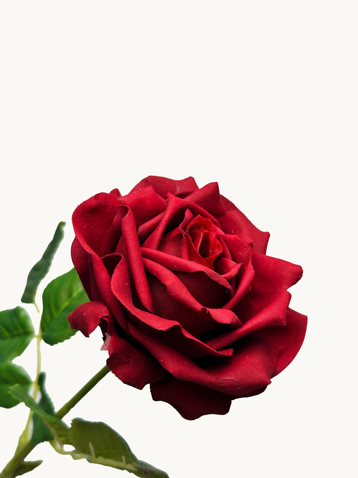 Amaranton 17" Rosa inglesa de tacto real - Borgoña