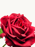 Amaranton 17" Real touch English Rose - Burgundy