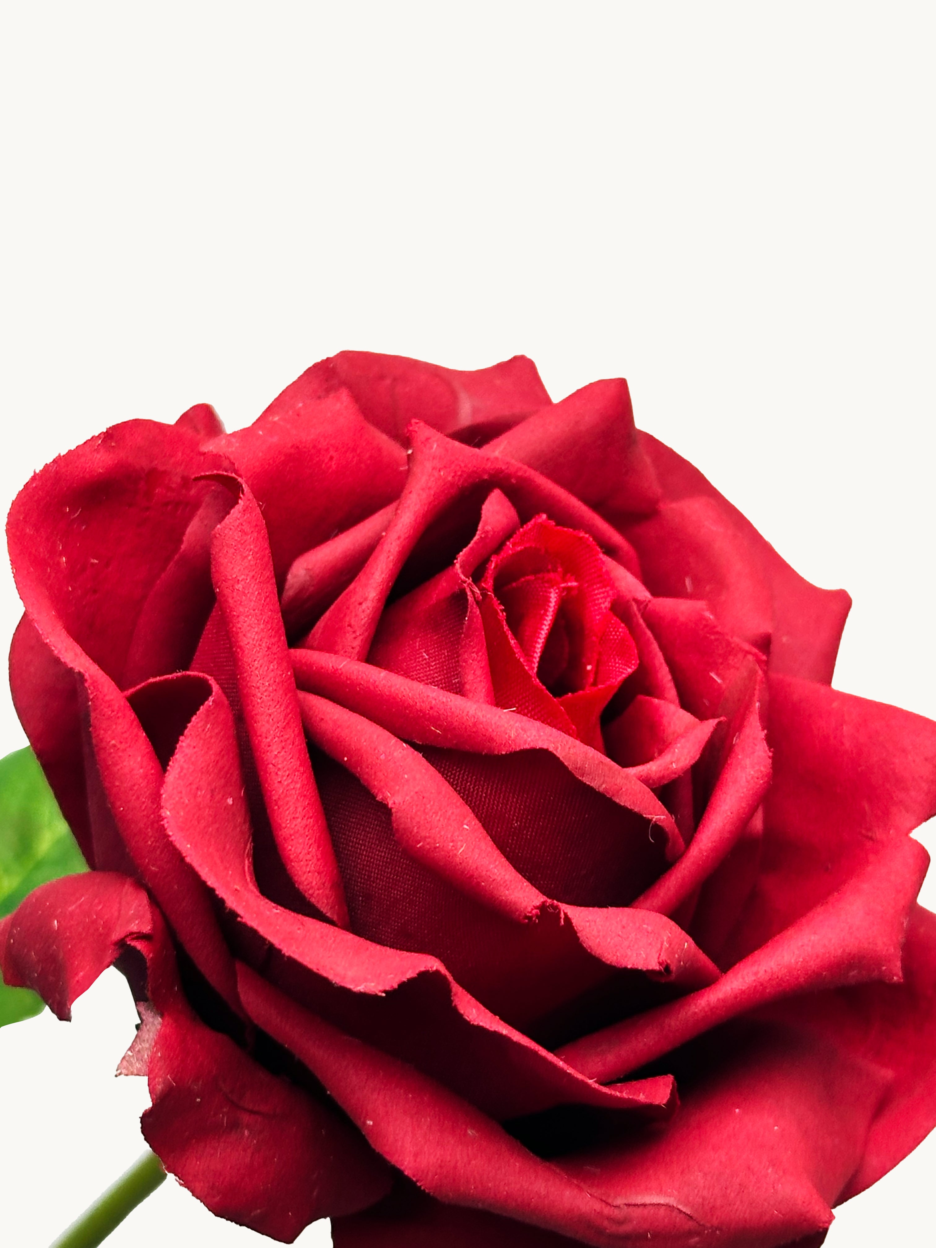 Amaranton 17" Real touch English Rose - Burgundy