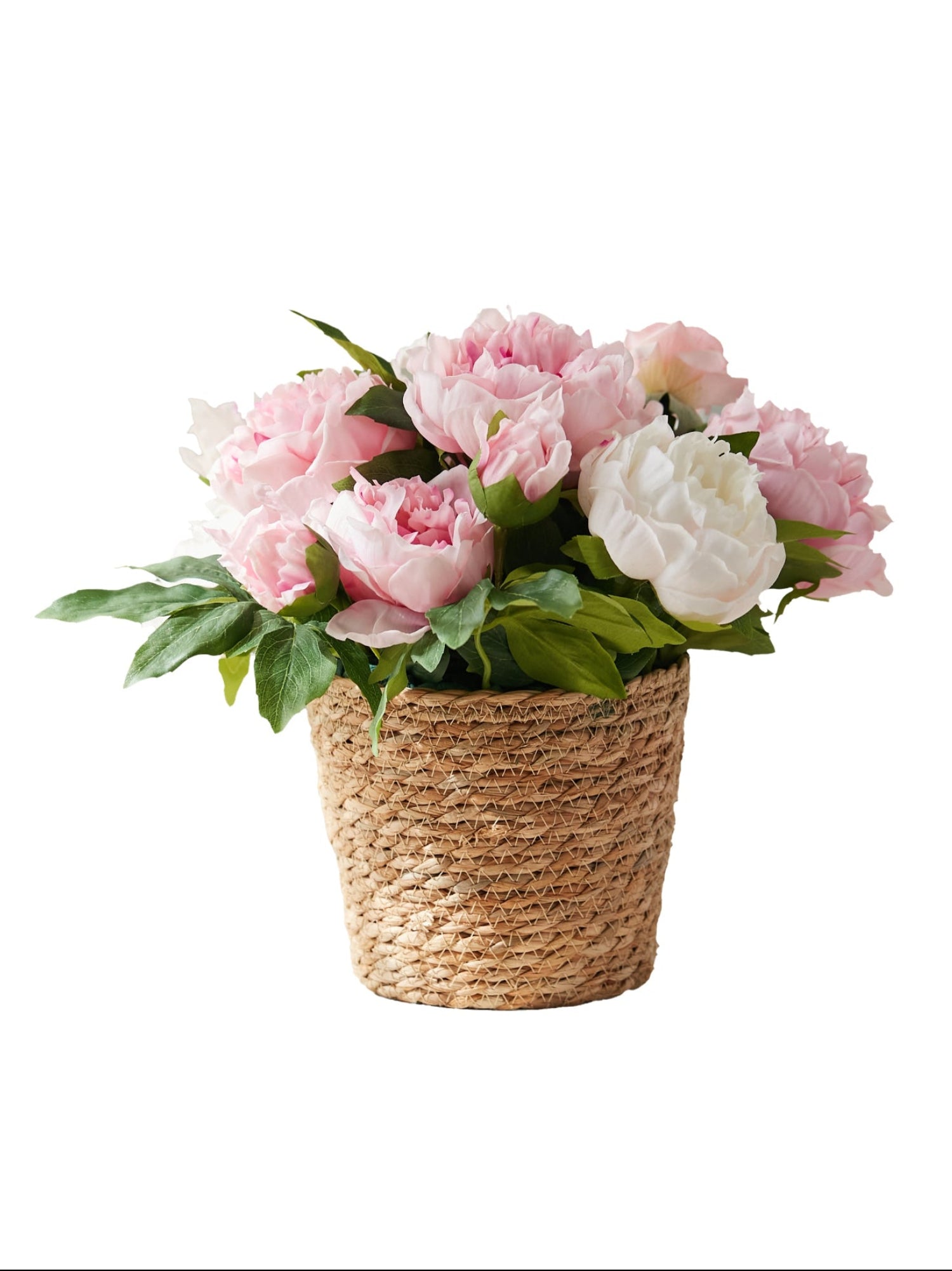 Amaranton™ Whispers of Peonies & Roses