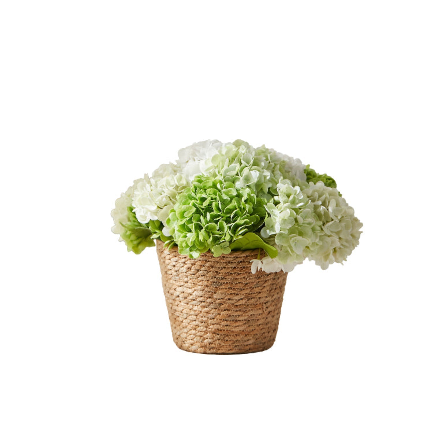 Arreglo de hortensias Amaranton Garden Breeze