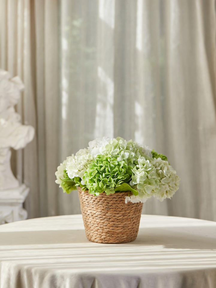 Arreglo de hortensias Amaranton Garden Breeze