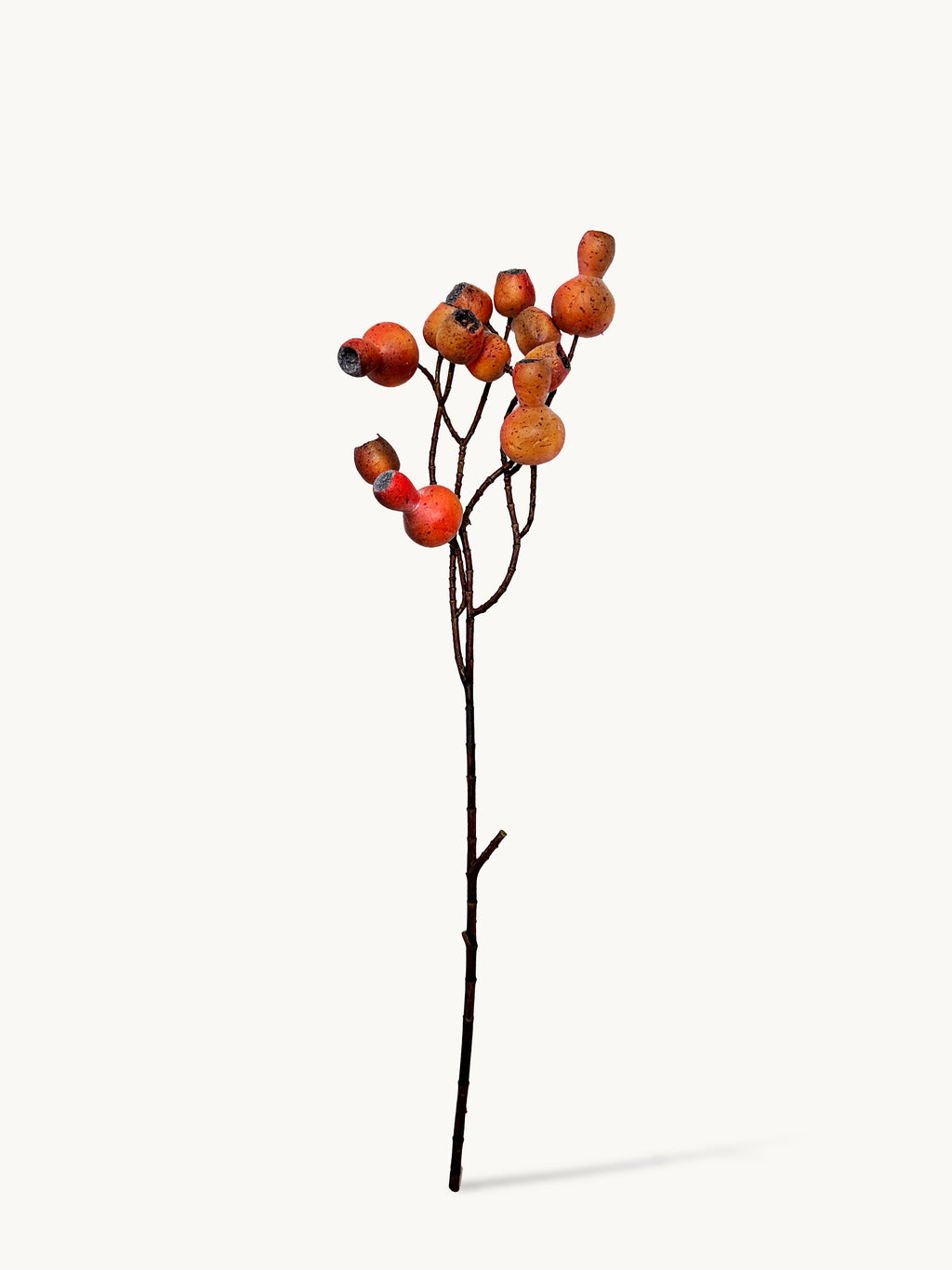 Maca Big Pipe Fruit