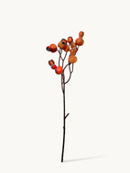 Maca Big Pipe Fruit