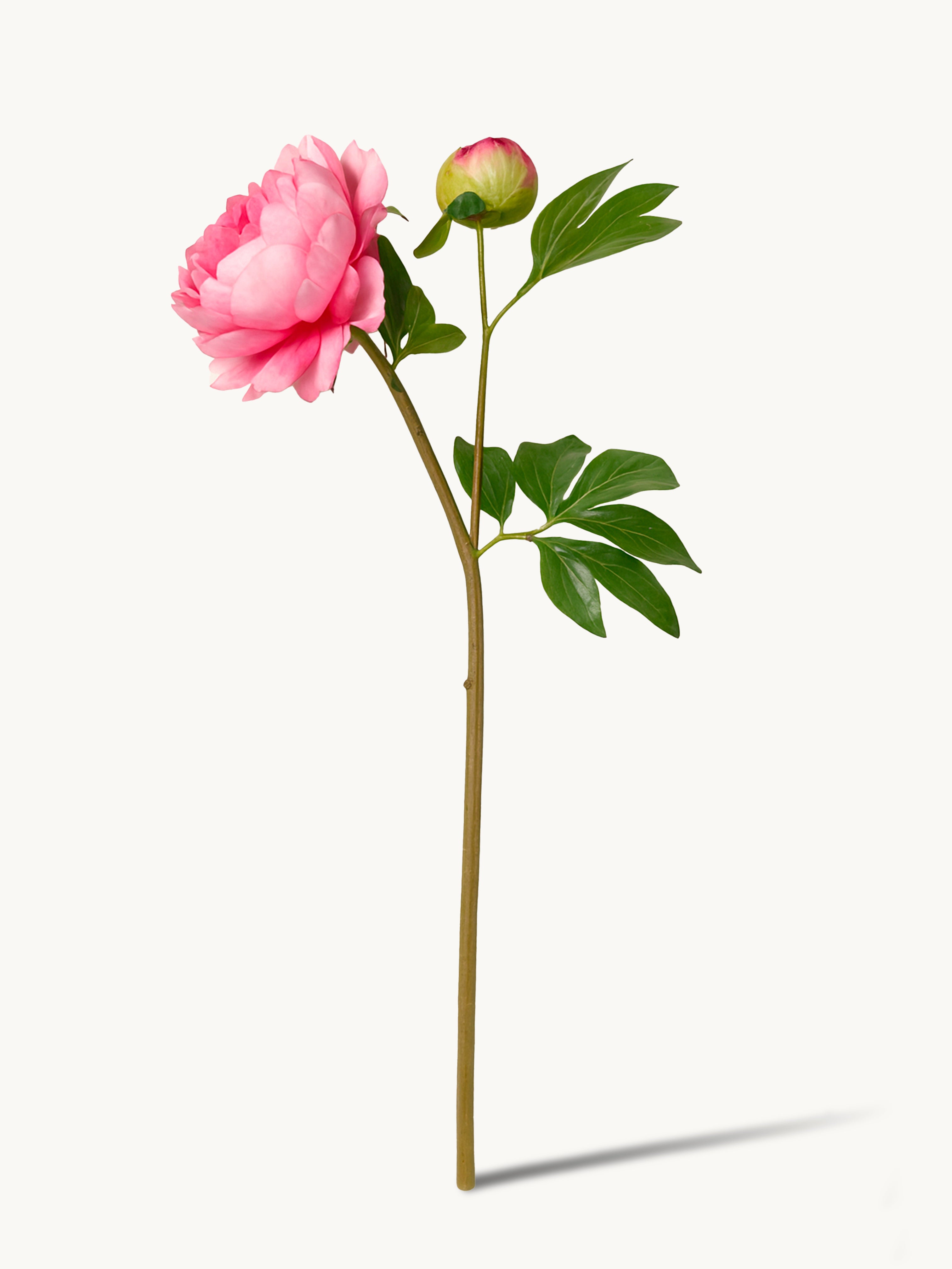 Pink artificial peony flowers