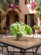 6 Stems Artificial Hydrangea Bouquet with Basket